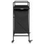 Laundry Cart