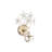 Jamisha 1 Light Champagne Daisy Flower Glass Crystal Armed Sconce