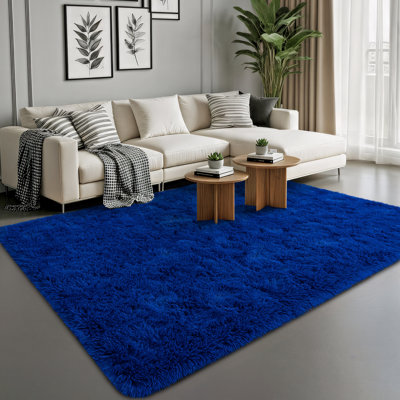 Super Soft BrightBlue Rug 4x6 ft, Oversized Living Room Rug, Thick Pile Rug, Fluffy Tufted Room Rug For Room Bedroom Large Cozy Fuzzy Rug Room Home Decor Aesthetic Soft Non Slip Rug Decor Aesthetic, Christmas Decor, Halloween Decor