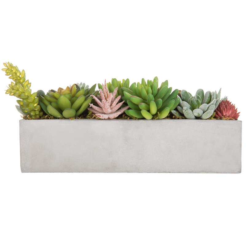 15.5cm Faux Succulent Plant in Cement Pot