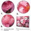 Pivoine rose I - art mural floral-765175241-778048152