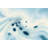 Topographic Lines Wallpaper Contour Map Gradient Removable Wall Decor-126556863-126556865