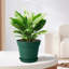Nursery Pot-1044112433