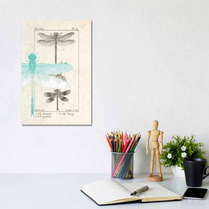 Field Guide I by Kimberly Allen - Print on Canvas, Wrapped Canvas, 30.48cm H x 20.32cm W x 1.91cm D