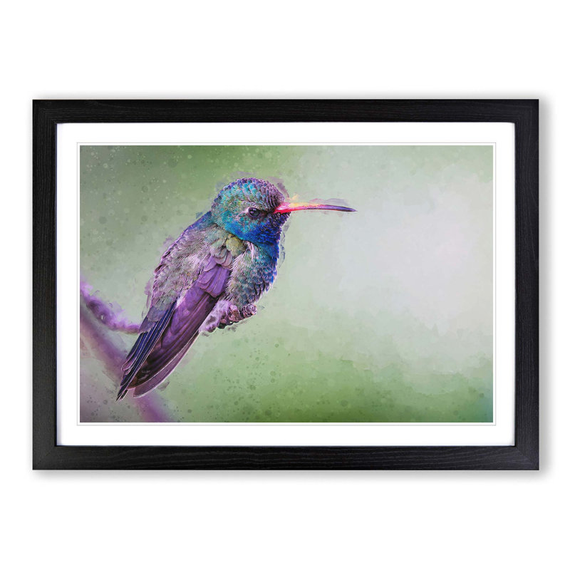 Broad-Billed Hummingbird in Abstract - Picture Frame Graphic Art Print, 36cm H x 48cm W x 2cm D, Black Framed