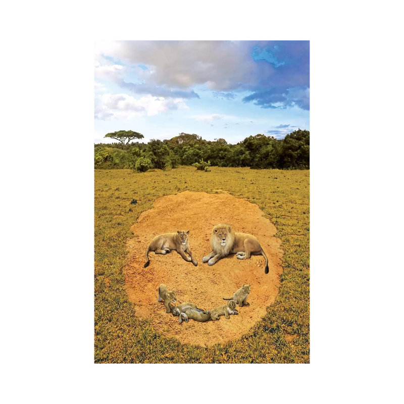 A Lion's Happiness by Vincent Hie - Wrapped Canvas Print, 20.32 cm H x 30.48 cm W