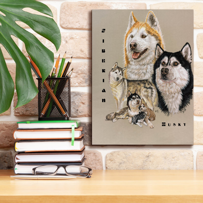 «Husky sibérien» par Barbara Keith, H 16 po x l 12 po