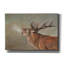 Art mural sur toile, "Red Deer Stag2" par David Stribble-41176514