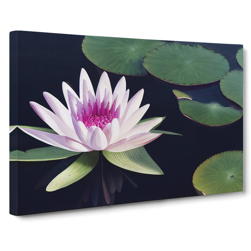 Flourishing Water Lily Flower - Wrapped Canvas