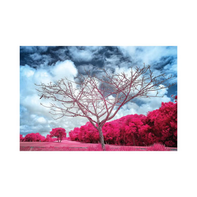 Dry Tree Magenta - Sao Paulo, Brazil by Glauco Meneghelli - Print on Canvas