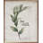 Be Still Greenery White-576099410