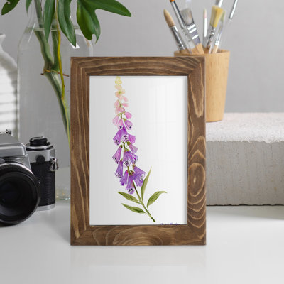 Annie's Foxglove II