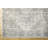 Oriental Indoor Rug-1686348133