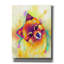 «Pop Art Pomeranian» par Furbaby Affiliates-746156424
