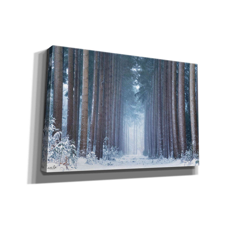 «Emzley Winter polaire sur toile» par Martin Podt, reproduction, H 12 po x l 18 po x P 0,75 po