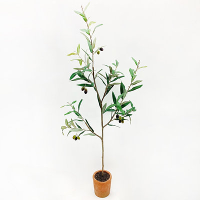 Ingresso Potted Faux Olive Tree