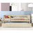 Jessicanicole Kids Twin Daybed with Trundle-1335362286
