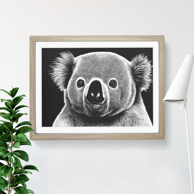 Koala Bear - Framed Print