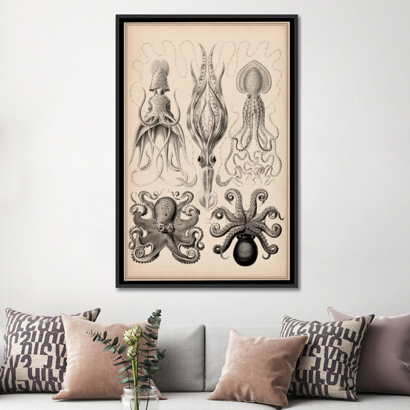 Cephalopod (gamochonia), impression sur toile, H 24 po x l 16 po x P 1 po, Papier avec cadre noir, Blanc