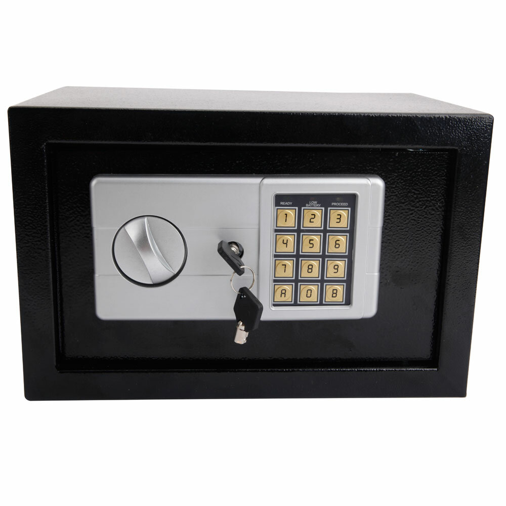 Ktaxon Safe Box with Dual-Lock & Reviews | Wayfair