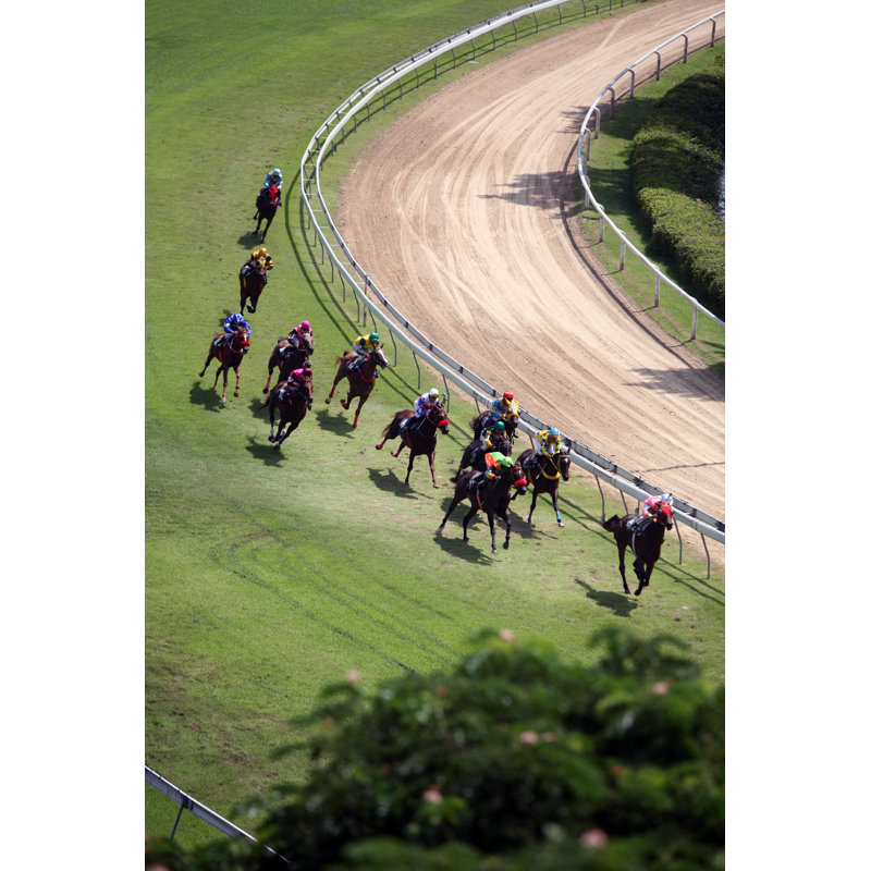 Horse Racing by Pajara - No Frame Art Prints on Canvas, 46cm H x 30cm W