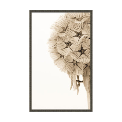 «Dawning Bloom 2» par Studio L57 Affinity - impression d'un seul cadre