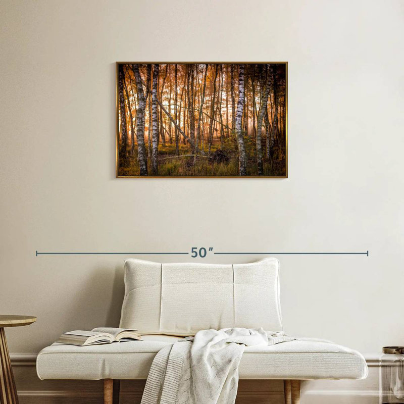 Forêt de bouleaux sombre, Cadre flottant doré, 31 po x 21 po