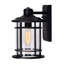Lanterne murale d'extérieur 1 lumière pour terrasse, patio et cour arrière Riggio