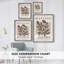Matisse CCXXVIII Framed Print - Solid Wood-2082807783-2082807787
