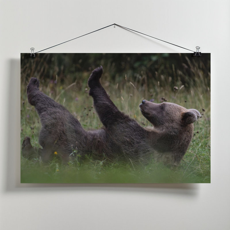 Wrapped Canvas Print, 50.8 cm H x 76.2 cm W