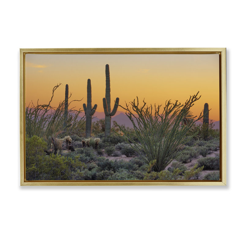 «Sunset Desertscape Cacti Floater» par Marty Hulsebos, Cadre flottant métallique doré, H 17 po x l 25 po