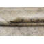 Oriental Area Rug