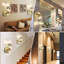Kathya LED Armed Sconce 2 Packs-1219541353