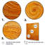 «Abstract Orange Swirl Collages VII», art mural abstrait-339116142-339116130