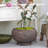 Round Paulownia Wood Planter