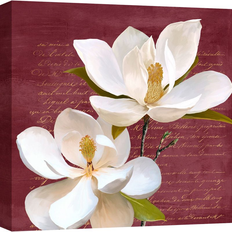 Burgundy Magnolia II - Wrapped Canvas Print, 70cm H x 70cm W x 4cm D