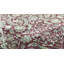Suruchi One-of-a-Kind 3'2" X 14'6" Area Rug