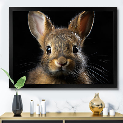 " Cute Rabbit Portrait "
