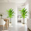 Faux Dracaena Tree Plant in Cement Freestanding  Planter-1502214237-1502214239