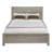 Lanora Solid Wood Panel Bed-1119732082-1119732078