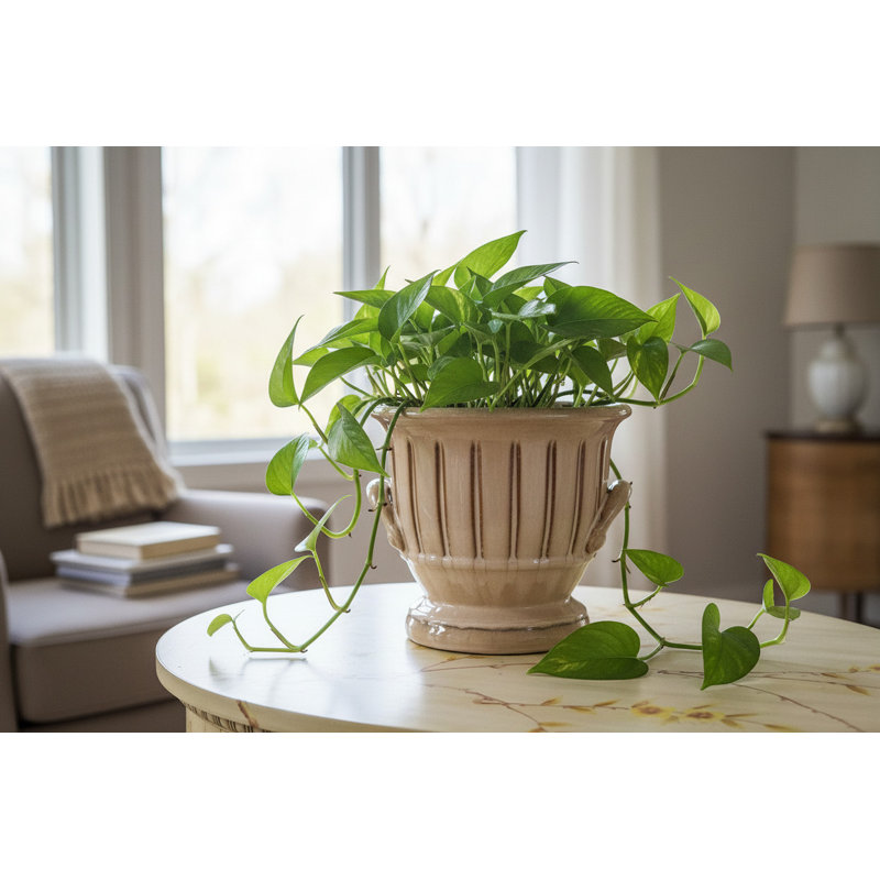 Cream Ceramic Planter With Ribbed Design