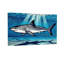 Requin animal nageant sous l'eau avec des rayons de soleil-1398609271-1398609268-1398609266