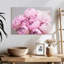 Harnek Pivoines I-107499714