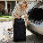 Foldable Pet Stroller, 3 Wheels Folding Carrier Jogger Stroller for Dogs Cats with Canopy and DIY Stickers-111302518