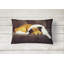  Coussin intérieur / extérieur en tissu Collie par Tanya and Craig Amberson