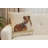 Lassie Cushion Cover