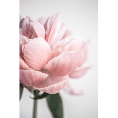 1 Piece Wrapped Canvas Wall Art