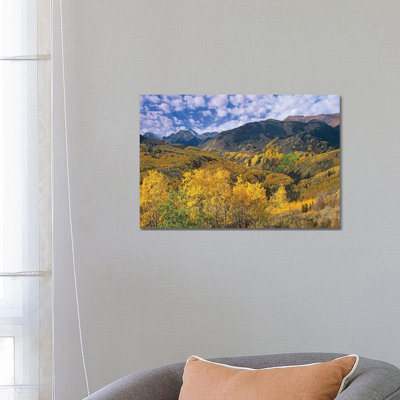 Quaking Aspen in Autumn, Colorado I 1 Piece Wrapped Canvas Wall Art