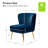 Euclid Velvet Accent Chair with Metal Legs-366564311