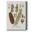 Sapin botanique de qualité supérieure sur toile tendue - prêt à être accroché-672930115